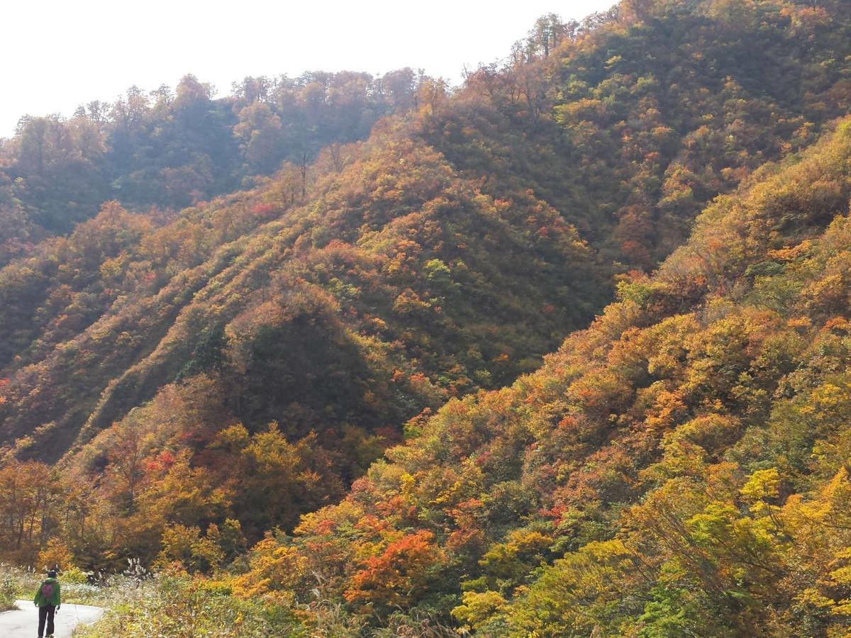 โรงแรมโอะงะวะ ออนเซน โมะโตะยุ โอะงะวะ Asahi  ภายนอก รูปภาพ